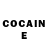COCAIN Fish Scale Support BLKBiz