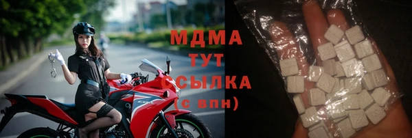 индика Новокубанск