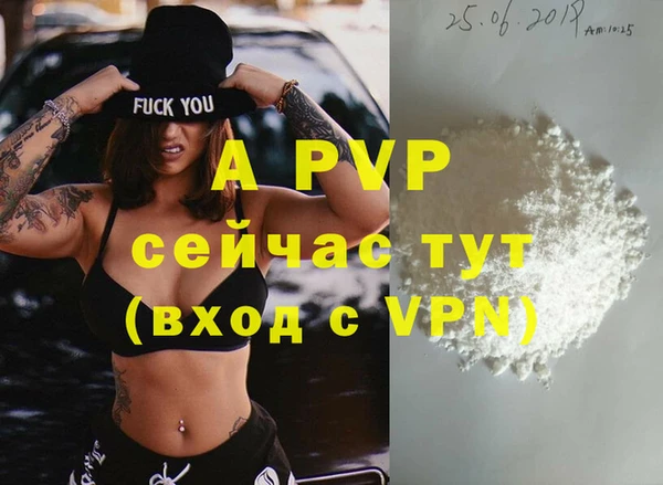 индика Новокубанск