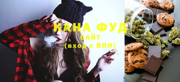 индика Новокубанск
