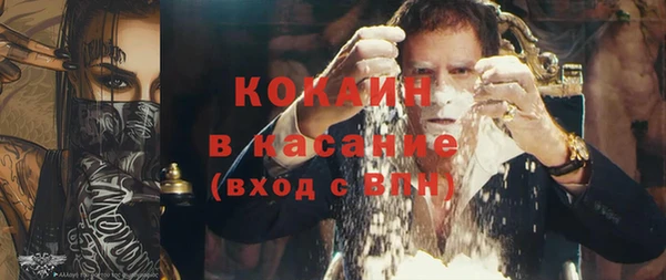 индика Новокубанск