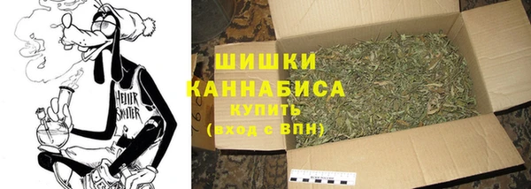 индика Новокубанск