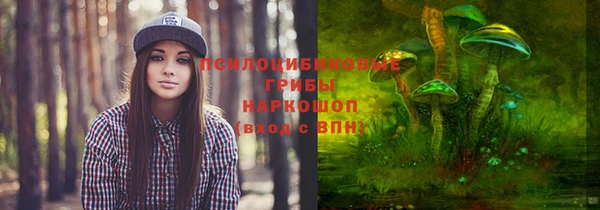 дурь Новозыбков