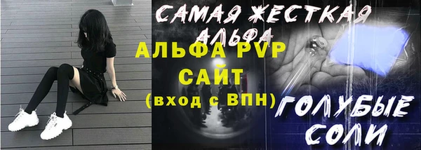 индика Новокубанск